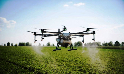 Послуги дрона в сільському господарстві