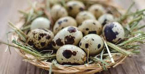 Яйця перепелині харчові