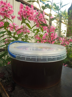 Продам якісний гречаний мед