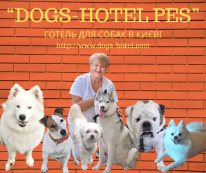 Готель для собаки та котів ПЕС - перетримка в Києві