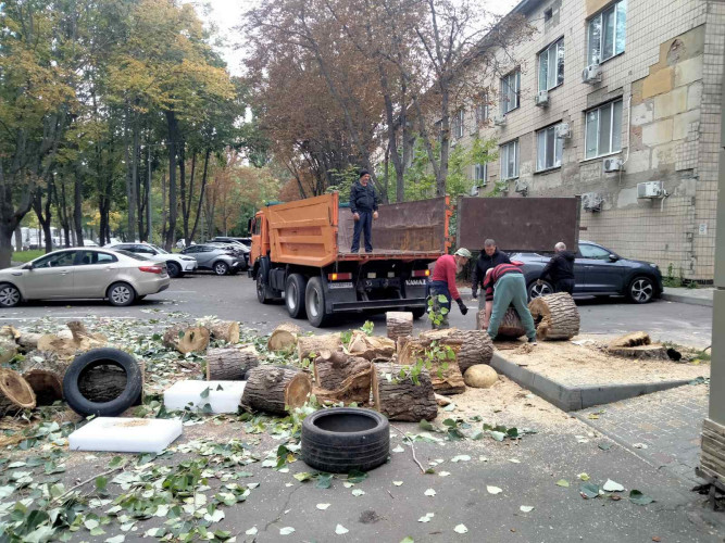 Демонтаж земляные уборка грузчик  вывоз Одесса фото 5