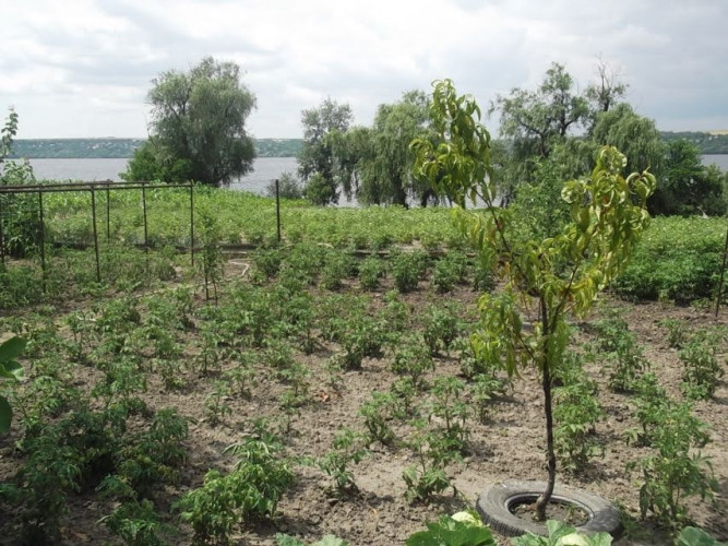 Продам будинок на березі Дніпра власний берег. фото 3