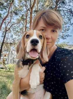 Хлопчики породи бігль 4 місяці