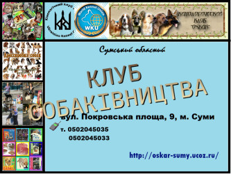 Приглашаем в клуб собаководства