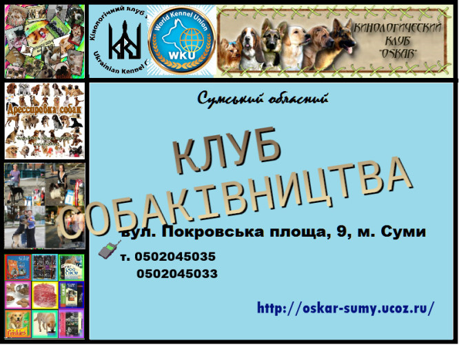 Приглашаем в клуб собаководства 