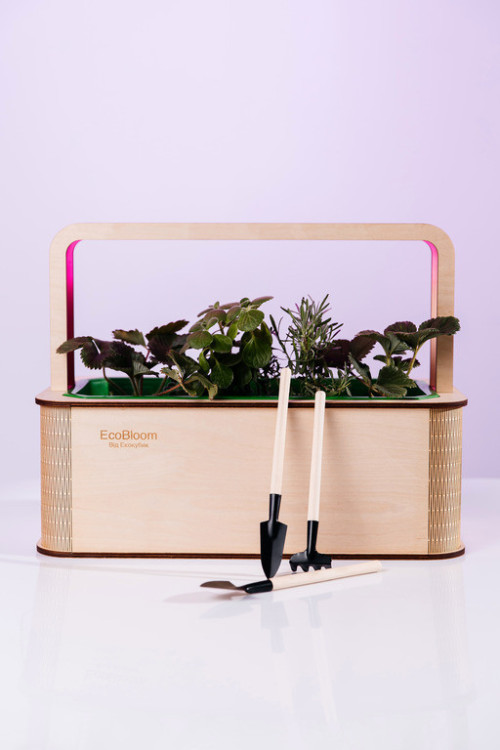 EcoBloom Smart Garden Розумний сад вдома фото 2