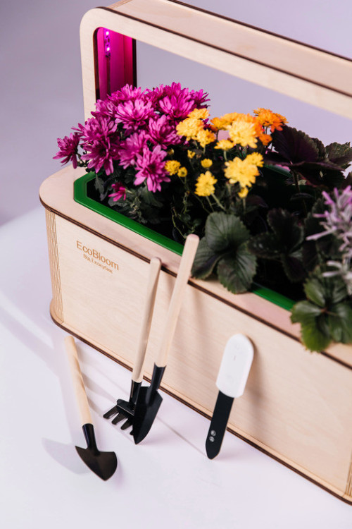 EcoBloom Smart Garden Розумний сад вдома фото 3