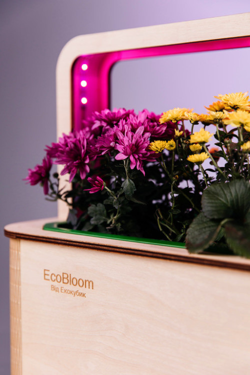 EcoBloom Smart Garden Розумний сад вдома фото 4
