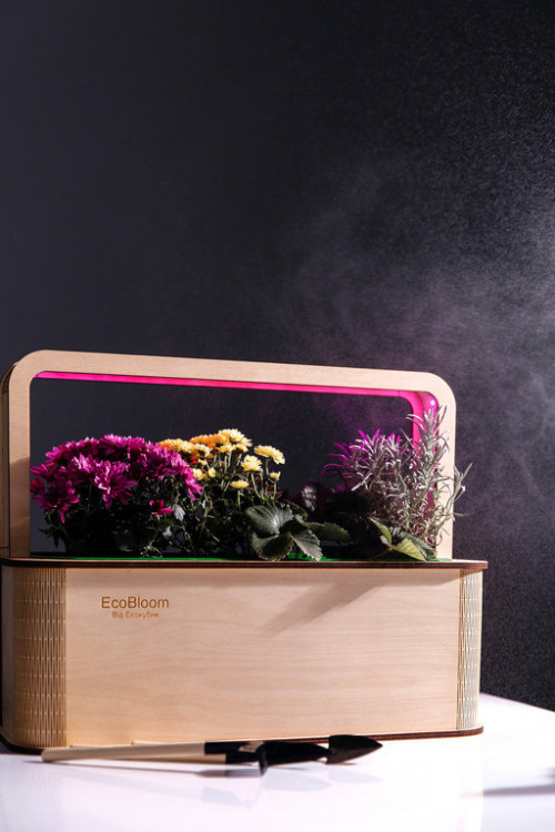 EcoBloom Smart Garden Розумний сад вдома фото 6