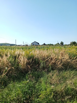 земельна ділянка