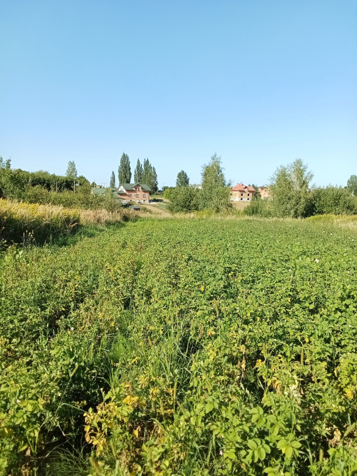земельна ділянка фото 2