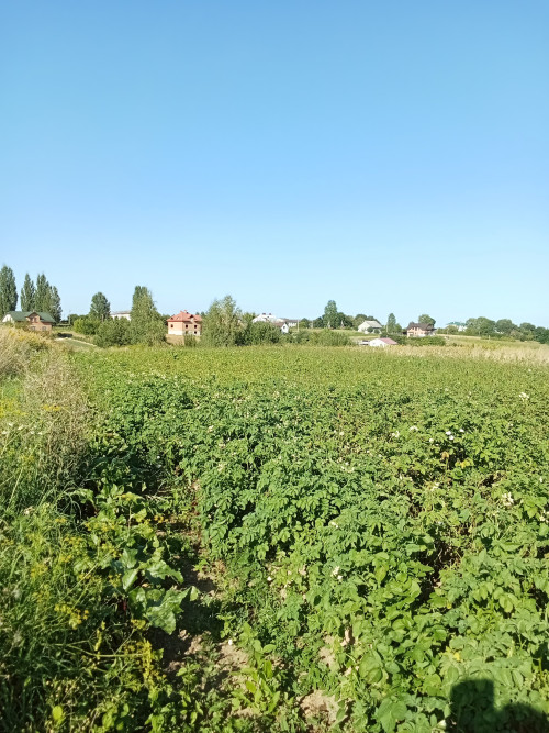 земельна ділянка фото 3