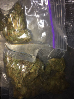 Купить Шишки и Бошки в Киеве? САЙТ -  Доставка Шишки и Бошки