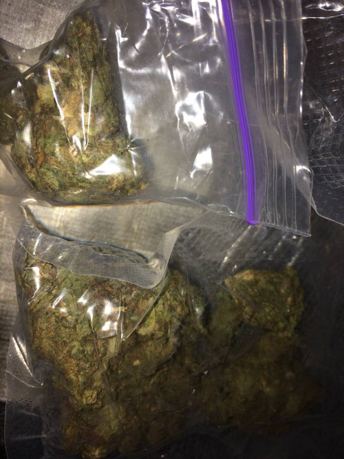 Купить Шишки и Бошки в Киеве? САЙТ -  Доставка Шишки и Бошки 