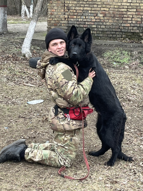 Дресирування собак на спец оборудованному майданчику. фото 4