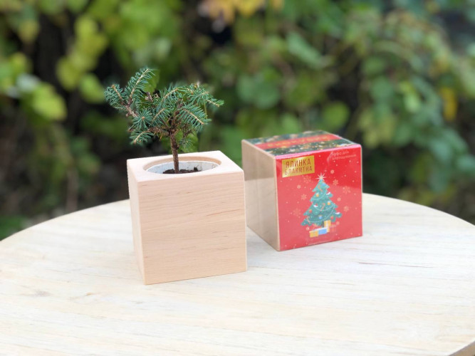 Подарунки на Миколая. Новорічні набори. DIY набори фото 5