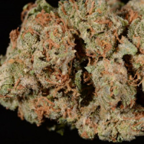 Сайт - COCAINES.VIP - Купить Гашиш Шишки и Бошки в Украине? 