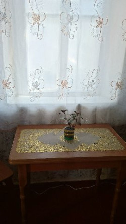 1-но кім кв Центр