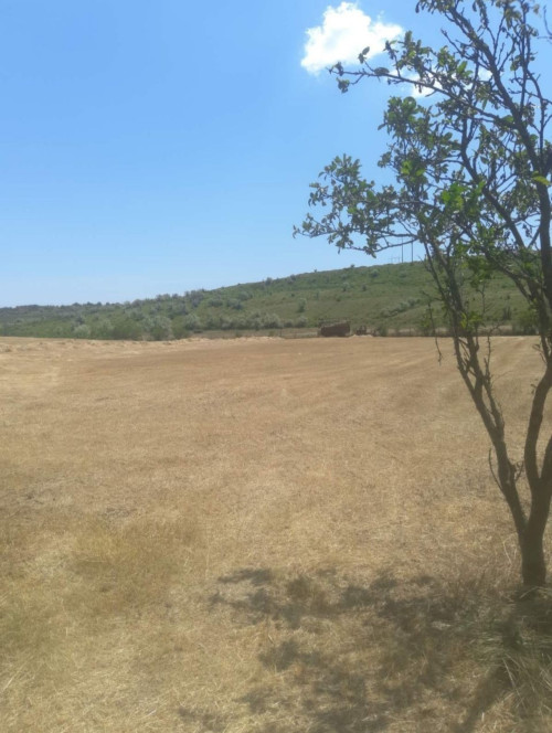 Продається будинок в затишному селі Паліївка в Одеській області, 1250$ фото 5