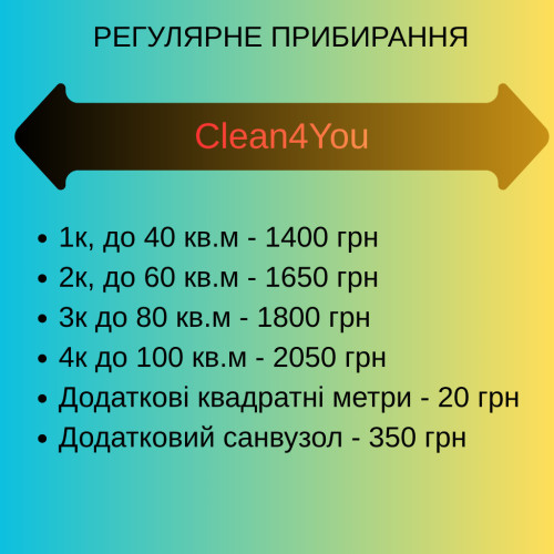 Професійне прибирання квартир, офісів і будинків — швидко та якісно. фото 3