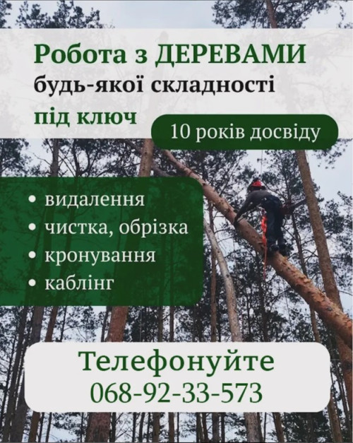 Bидаленя деревев. Косіння трави, Розчистка територій. Вантажоперевезен 