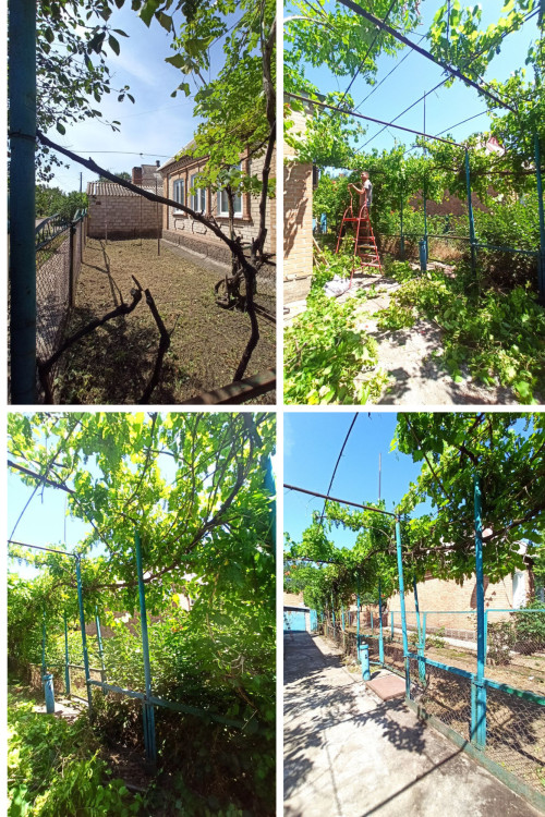 Bидаленя деревев. Косіння трави, Розчистка територій. Вантажоперевезен фото 2