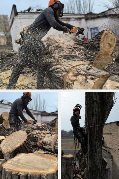 Bидаленя деревев. Косіння трави, Розчистка територій. Вантажоперевезен фото 5