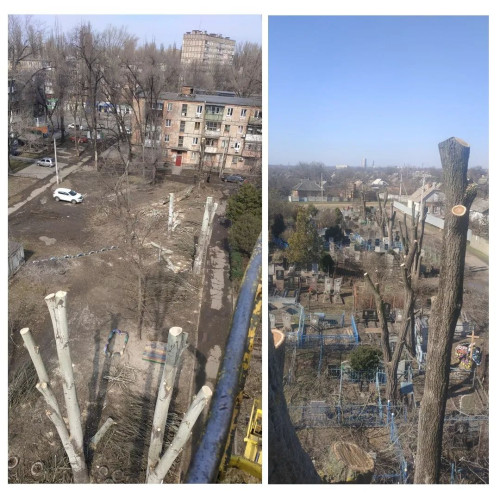 Bидаленя деревев. Косіння трави, Розчистка територій. Вантажоперевезен фото 7