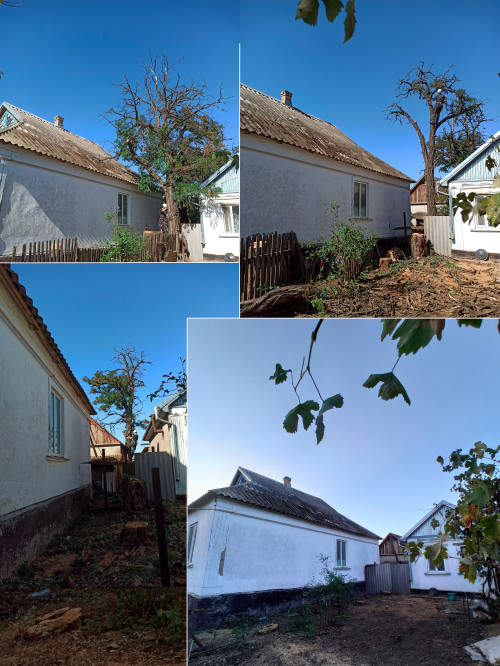 Bидаленя деревев. Косіння трави, Розчистка територій. Вантажоперевезен фото 8