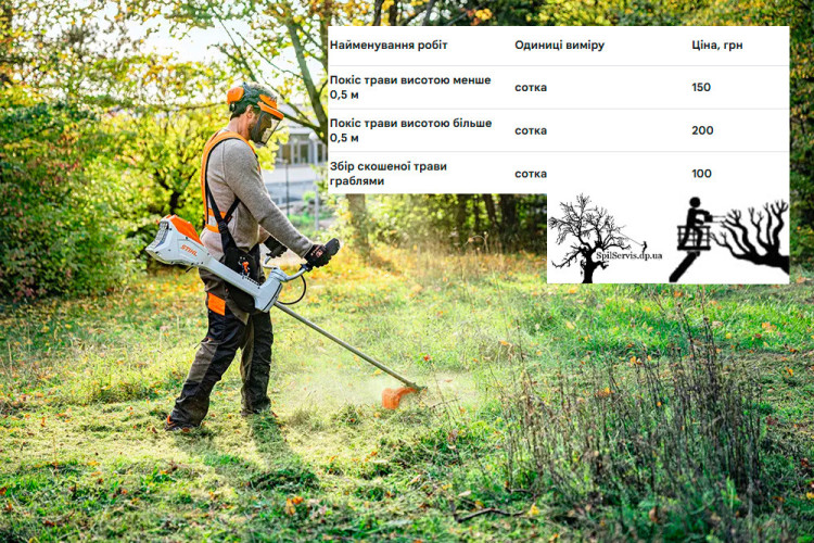 Bидаленя деревев. Косіння трави, Розчистка територій. Вантажоперевезен фото 10