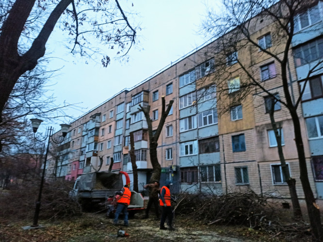 Bидаленя деревев. Косіння трави, Розчистка територій. Вантажоперевезен фото 11