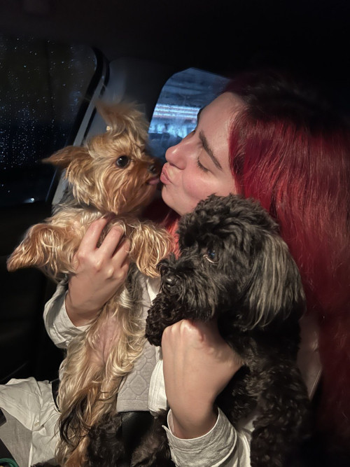 Індивідуальна перетримка тварин, без кліток, зооняня 