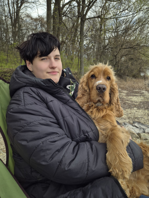 Передержка собак  дрессировка фото 3