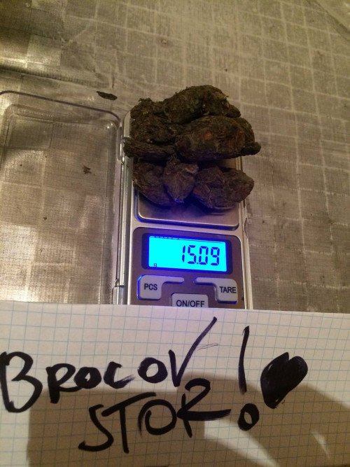 Готовые клады,доставки такси и почта 