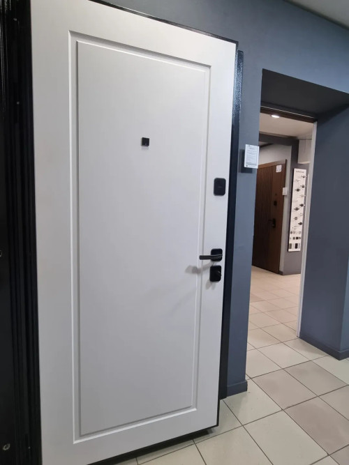 Купить двери входные готовые или изготовить в Кривом Роге фото 13