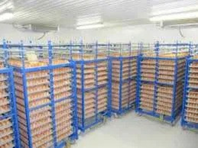 Холодильна камера Тривалого зберігання яєць (встановлення під ключ) фото 3