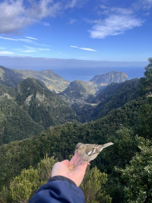 Репетиторство з англійської мови 