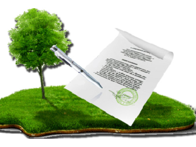 Приватизація земельної ділянки 