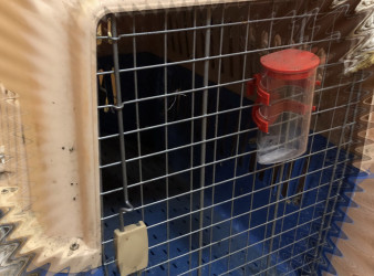 Контейнер клітка переноска для середніх великих собак. 90x70x60см