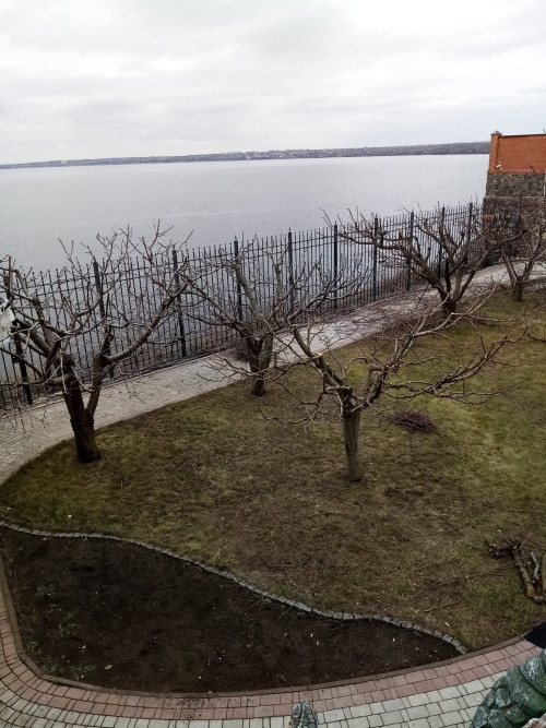 Обрезка фруктових и декоративных ростений в Николаеве фото 3