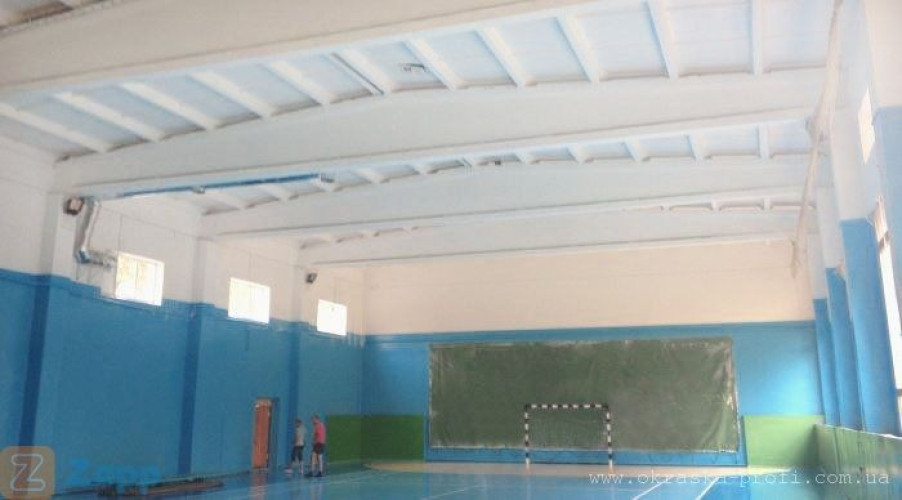 Фарбування дахів, фарбування складів, приміщень фото 5