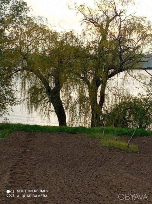 Продам будинок на березі Дніпра власний берег 