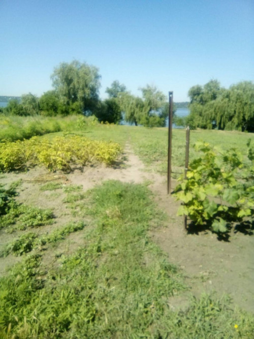 Продам будинок на березі Дніпра власний берег фото 5