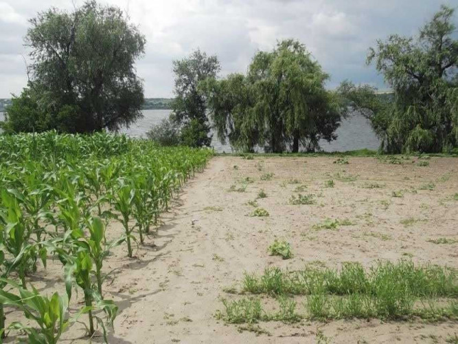 Продам будинок на березі Дніпра власний берег фото 6