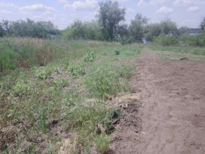 Продам будинок на березі Дніпра власний берег фото 7