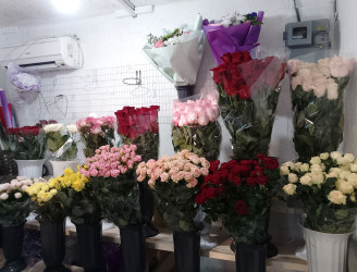 Доставка квітів Миколаїв