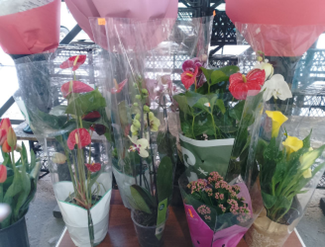 Доставка квітів Миколаїв фото 4