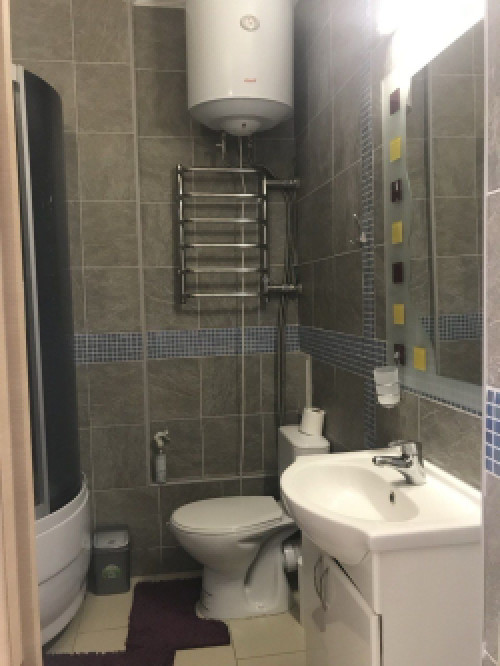 Оренда 1-к квартири Мішуги 2 поздняки Власник фото 10