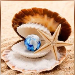 Шукаємо водія на туристичний автобус