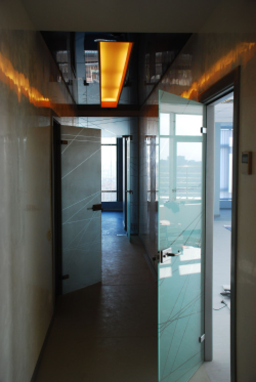 скляні двері, вхідні скляні двері фото 10